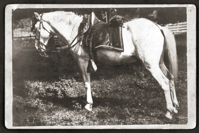 « Colonel », dépoussiéré